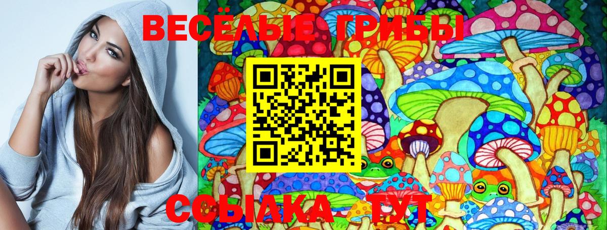 Псилоцибиновые грибы MAGIC MUSHROOMS  Вход с VPN  купить  сайты  Алушта  Галлюциногенные грибы Cubensis 